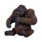 Mojo Orangutang