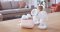 Philips AVENT Muttermilchpumpe elektrisch DUO SCF397/31