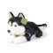 Rappa Cão de pelúcia husky 36 cm ECO-FRIENDLY