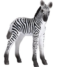 Mojo Zebra Junges