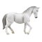 Yegua Lipizzaner Mojo