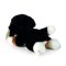 Rappa Peluche Bouvier bernois couché 20 cm ECO-FRIENDLY