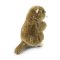 Rappa Marmota de pelúcia 23 cm ECO-FRIENDLY