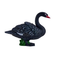 Mojo Lebădă neagră