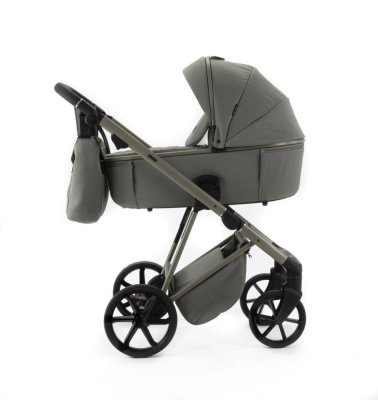 ADAMEX Kombikinderwagen Delta Natura Salvia