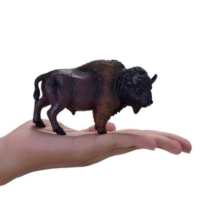 Mojo Amerikanischer Bison Weibchen