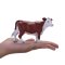Mojo Krowa Hereford