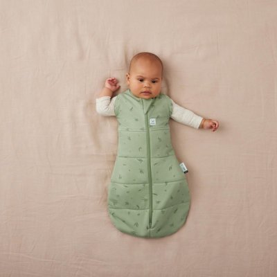 ERGOPOUCH Otulacz i śpiworek 2w1 Cocoon Willow 0-3 m, 3-6 kg, 2,5 tog