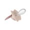 CANPOL BABIES Silikon-Schnuller symmetrisch Light touch GOLD 18m+ 2Stk. rosa