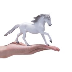 Mojo Cheval Lusitanien blanc