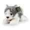 Rappa Câine de pluș husky culcat 20 cm ECO-FRIENDLY