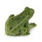 Rappa Rana de peluche 19 cm ECO-FRIENDLY