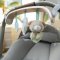 INGENUITY Juguete colgante para cochecito Wonder & Wood™ 0m+