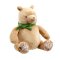 Rainbow Plush Winnie the Pooh with Green Bow 25 cm