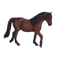 Mojo Caballo Morgan Marrón