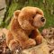 Rappa Urs de pluș grizzly așezat 30 cm ECO-FRIENDLY