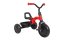 QPLAY Rowerek Trójkołowy Ant Red, wiek 2-6 lat