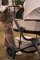 EASYWALKER Kombi-Kinderwagen Jimmey Explore Pearl Taupe AIR