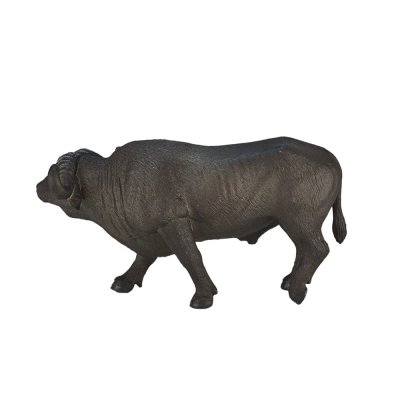 Mojo Afrikanischer Büffel