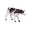Mojo Holstein Kalv Stående