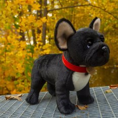 Rappa Pluszowy buldog francuski czarny z obrożą stojący 30 cm ECO-FRIENDLY