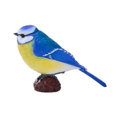 Mojo Blaumeise