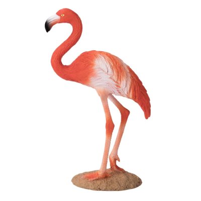 Mojo Flamingo Caraibean