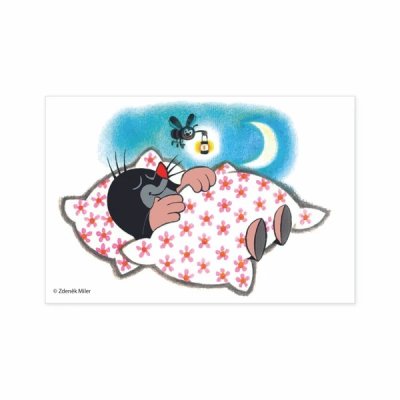 Dino Lesene slikovne kocke Krtek 6 kosov