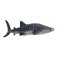 Mojo Whale Shark