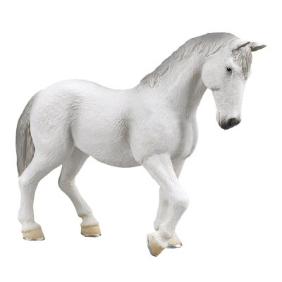 Yegua Lipizzaner Mojo