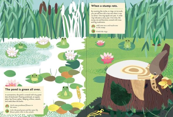 Chronicle Books Książka z naklejkami z aktywnościami Moja natura W lesie