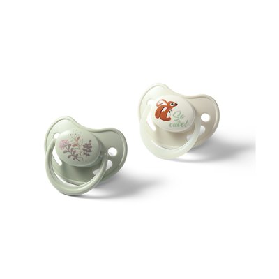 BABYONO Silikon-Schnuller anatomisch 6-18m, 2 Stk.