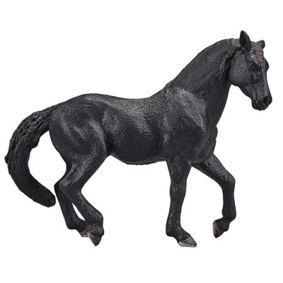Mojo Andalusian Black Horse