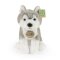 Rappa Plyschshund husky sittande 23 cm SOFT COLLECTION, ECO-FRIENDLY