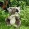 Rappa Pluszowa koala 30 cm ECO-FRIENDLY