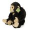 Rappa Chimpancé de peluche 27 cm ECO-FRIENDLY