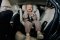LIONELO Harmony i-Size Car Seat (40-150 cm) Grey Graphite Leather