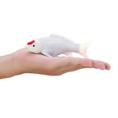 Mojo Karp koi tancho