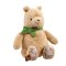 Rainbow Plush Winnie the Pooh with Green Bow 22 cm
