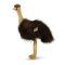 Rappa Pasăre de pluș Emu 28 cm ECO-FRIENDLY