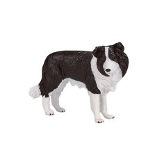 Mojo Border collie