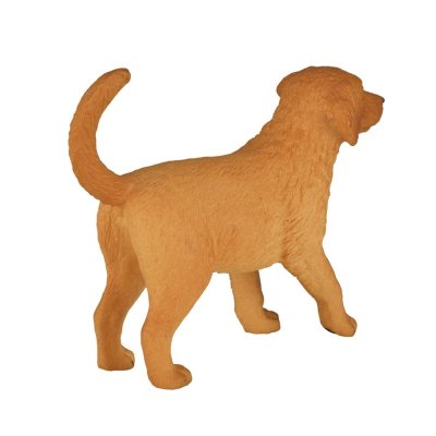 Mojo Szczeniak golden retriever