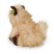 Rappa Plüss cairn terrier kutya 30 cm ECO-FRIENDLY