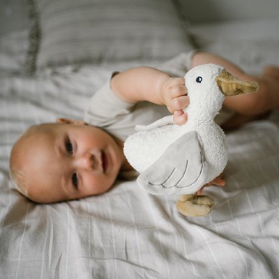 BABYONO Zabawka pluszowa z grzechotką Gęś Zoe 0m+