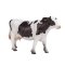 Mojo Holstein Ko