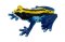 Mojo Dendrobates tinctorius