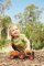 Green Toys Tracteur avec remorque orange