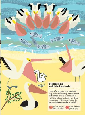 Chronicle Books Książka z naklejkami Moja natura Ptaki świata