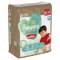 PAMPERS Windelhöschen Harmony Baby Größe 4, 22 Stück, 9kg-15kg