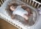 MOTHERHOOD Babynest och Juniorkudde 2 i 1 Rosa Klassiker ny